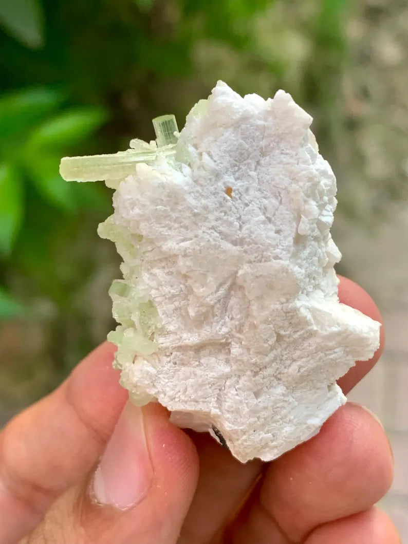 Natural green Tourmaline Crystals Cluster on Matrix from Pakistan - 31 Gram