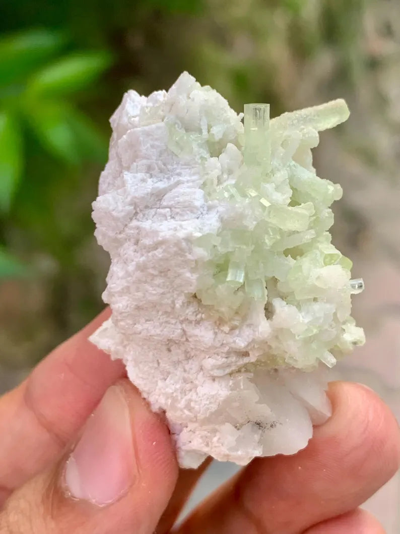 Natural green Tourmaline Crystals Cluster on Matrix from Pakistan - 31 Gram