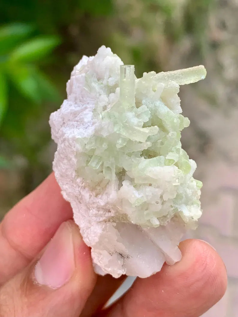 Natural green Tourmaline Crystals Cluster on Matrix from Pakistan - 31 Gram