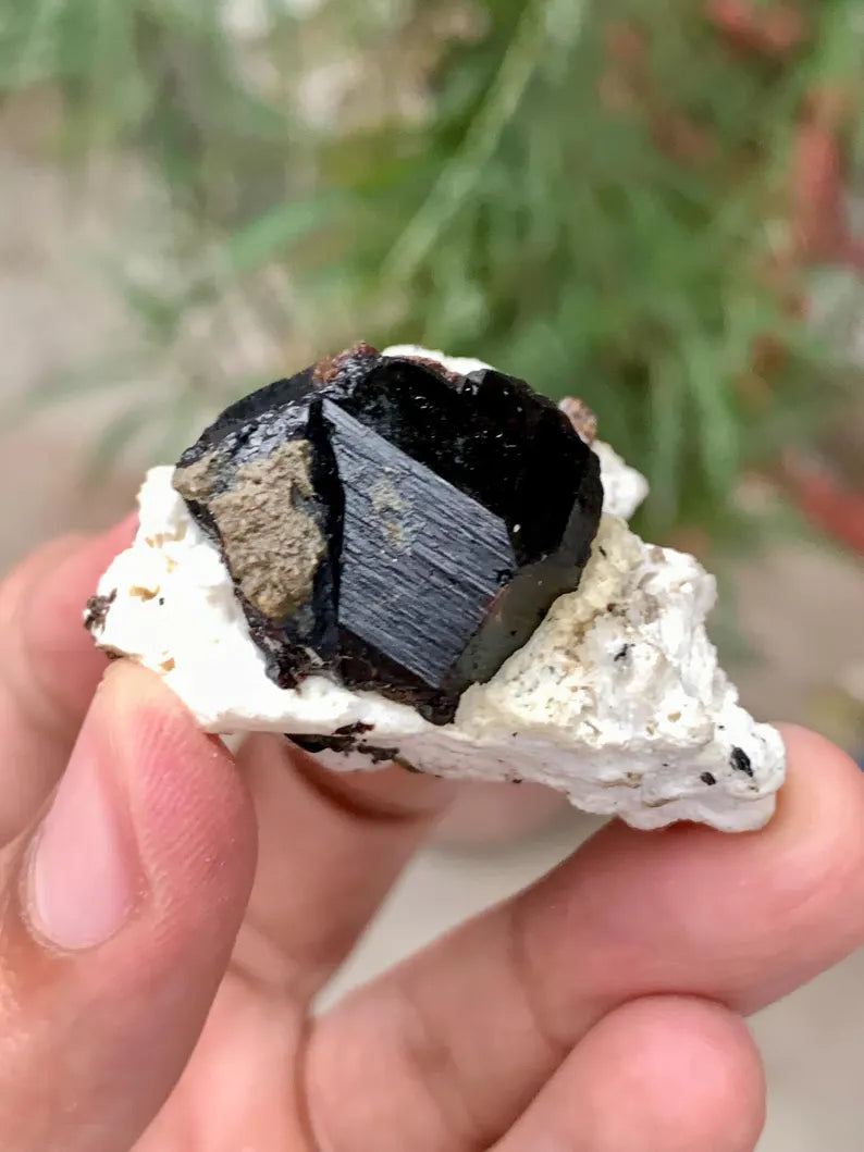 Natural Rare Black Tantalite Crystal on Matrix from Pakistan - 43 Gram