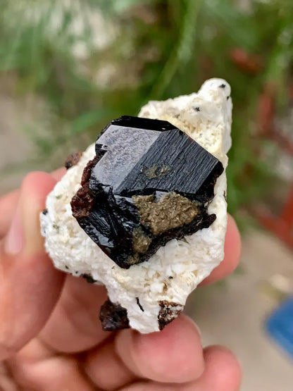 Natural Rare Black Tantalite Crystal on Matrix from Pakistan - 43 Gram