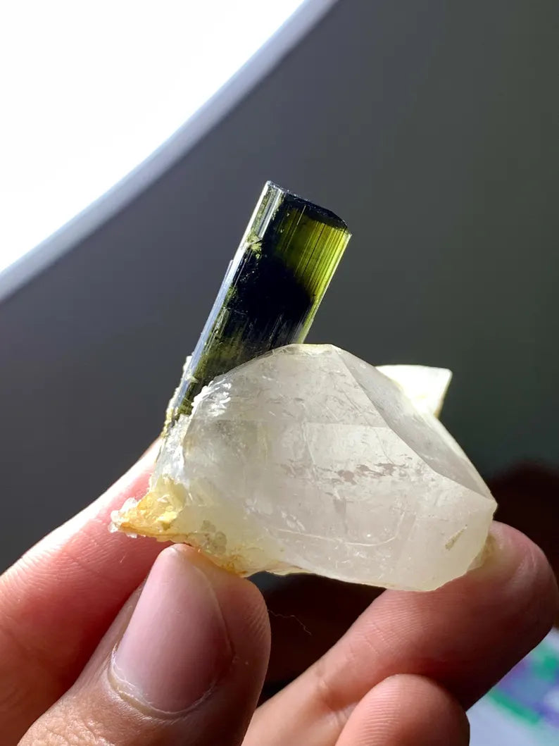 Natural terminated Green Cap Tourmaline Crystal on Quartz from Pakistan - 31 Gram