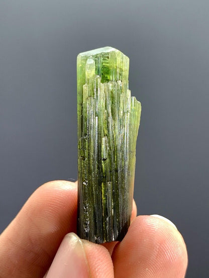 Natural Green Tourmaline Crystal s Bunch from Pakistan - 36.00 Carats