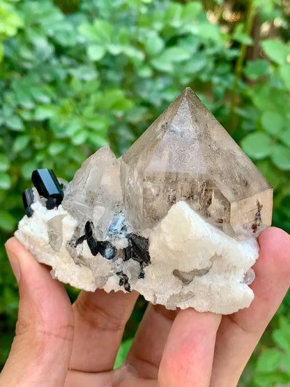 Natural Smoky Quartz with Black Tourmaline Combined Mineral Specimen from Pakistan - 193 Gram