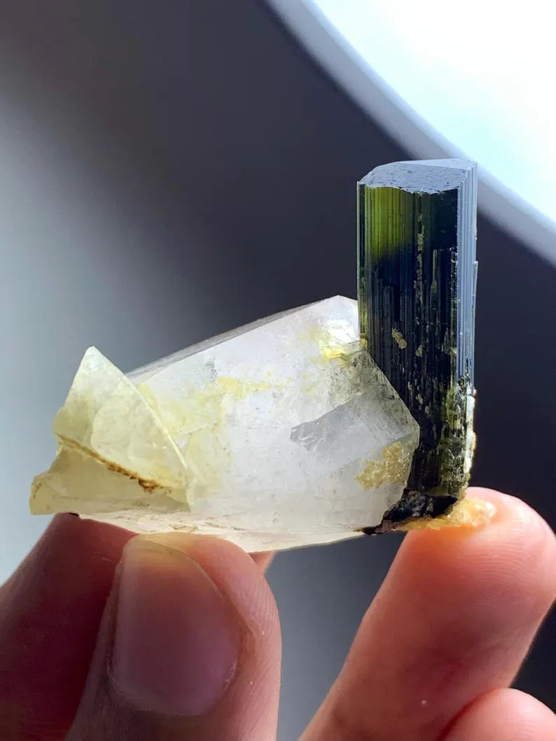 Natural terminated Green Cap Tourmaline Crystal on Quartz from Pakistan - 31 Gram