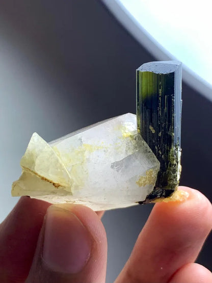 Natural terminated Green Cap Tourmaline Crystal on Quartz from Pakistan - 31 Gram