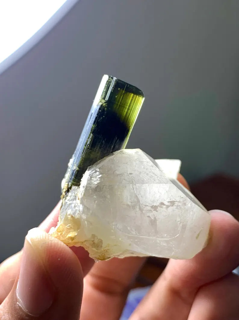 Natural terminated Green Cap Tourmaline Crystal on Quartz from Pakistan - 31 Gram
