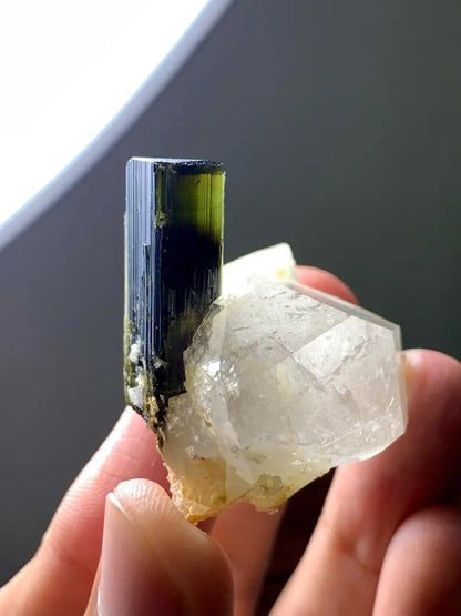Natural terminated Green Cap Tourmaline Crystal on Quartz from Pakistan - 31 Gram