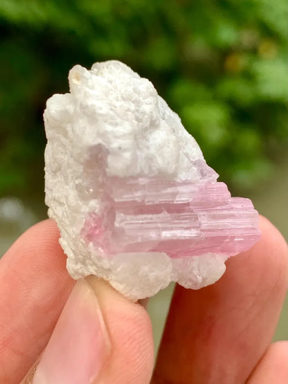 Natural Pink Tourmaline Crystal on Matrix from Pakistan - 16 Gram