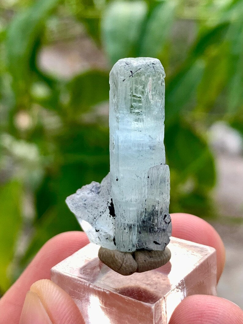 Diamond Cut Blue Aquamarine Crystal with Red Garnet from Pakistan - 27.50 Carats