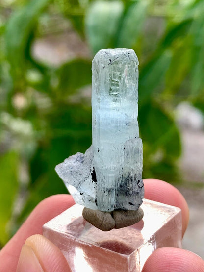 Diamond Cut Blue Aquamarine Crystal with Red Garnet from Pakistan - 27.50 Carats