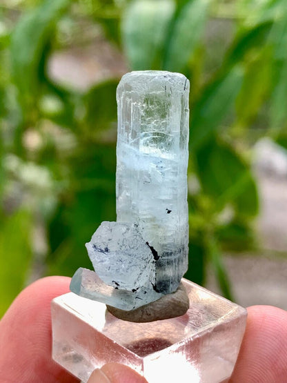 Diamond Cut Blue Aquamarine Crystal with Red Garnet from Pakistan - 27.50 Carats