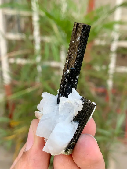 Natural Black Tourmaline Crystal with Green Cap on Cleavelandite albite from Pakistan -26 Gram