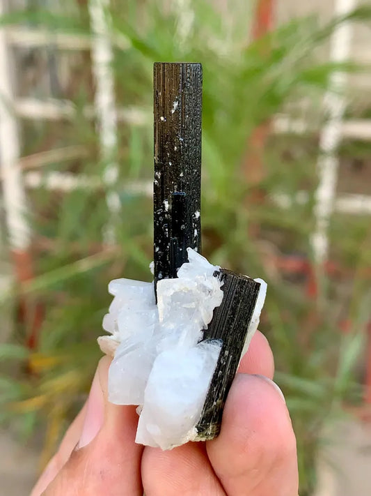 Natural Black Tourmaline Crystal with Green Cap on Cleavelandite albite from Pakistan -26 Gram