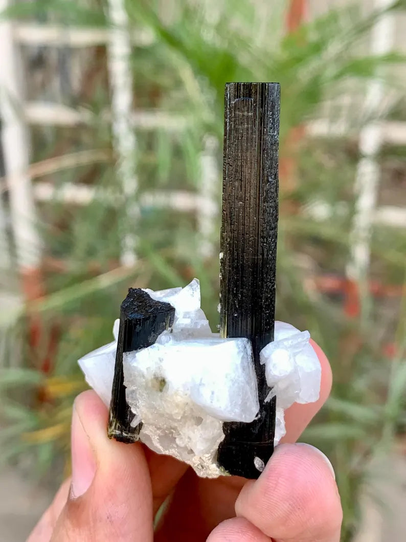 Natural Black Tourmaline Crystal with Green Cap on Cleavelandite albite from Pakistan -26 Gram