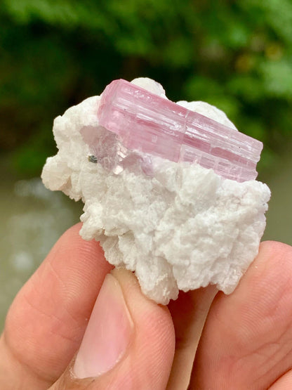 Natural Pink Tourmaline Crystal on Matrix from Pakistan - 16 Gram