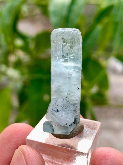 Diamond Cut Blue Aquamarine Crystal with Red Garnet from Pakistan - 27.50 Carats