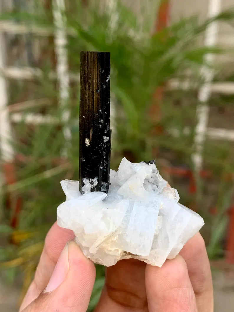 Natural Black Tourmaline Crystal with Green Cap on Cleavelandite albite from Pakistan -26 Gram