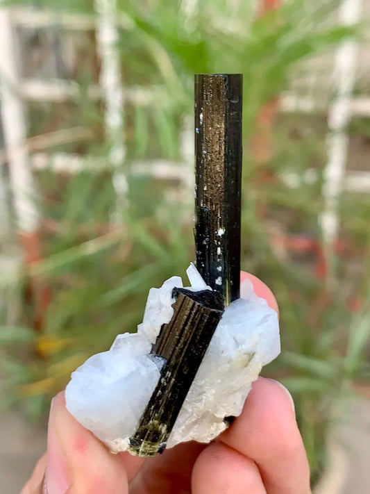 Natural Black Tourmaline Crystal with Green Cap on Cleavelandite albite from Pakistan -26 Gram