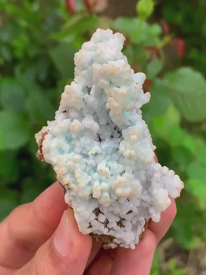 Bubble Chrysocolla Aragonite Specimen on Matrix from Pakistan - 52 Gram