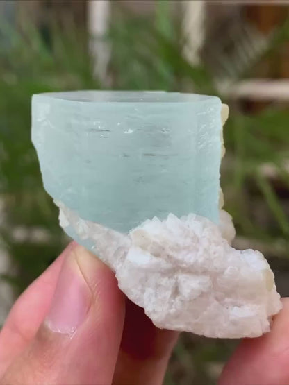 Collectors Choice Blue Aquamarine Crystal with Albite Matrix from Pakistan - 58 Gram
