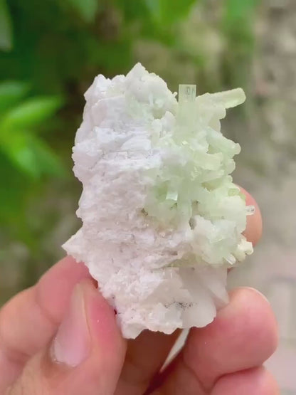 Natural green Tourmaline Crystals Cluster on Matrix from Pakistan - 31 Gram