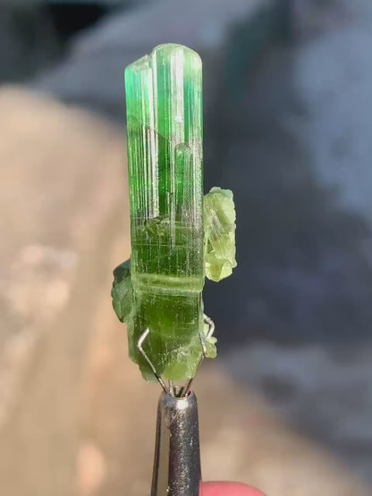 Bluish Green Tourmaline Crystal from Afghanistan - 27.00 Carats