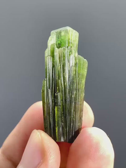 Natural Green Tourmaline Crystal s Bunch from Pakistan - 36.00 Carats