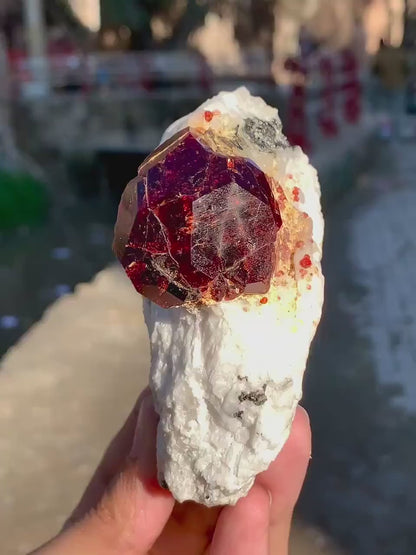 Collection Grade Red Garnet Crystal on Matrix from Pakistan - 298 Gram