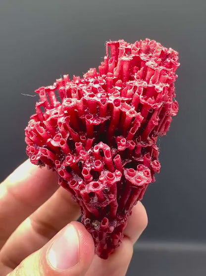 Unique Shape Natural Red Coral - 20 Gram
