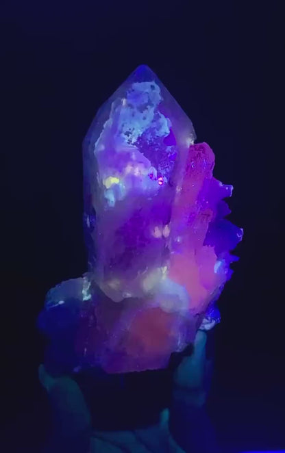 Fluorescent Pink Kunzite with Indicolite tourmalines and Quartz from Afghanistan - 380 Gram
