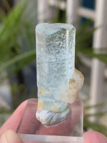 Sky Blue Aquamarine Crystal from Afghanistan - 55.00 Carats