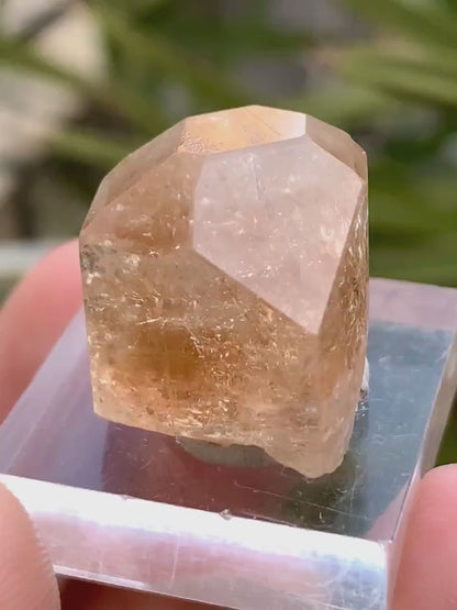 Dimaond Cut Golden Topaz Crystal from Pakistan - 63.0 Carats