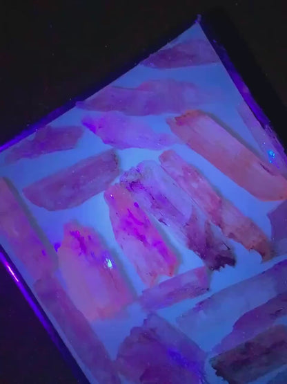 Natural Etched Pink Fluorescent Kunzite Crystals Lot from Afghanistran - 77 Gram