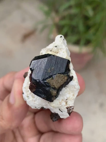 Natural Rare Black Tantalite Crystal on Matrix from Pakistan - 43 Gram