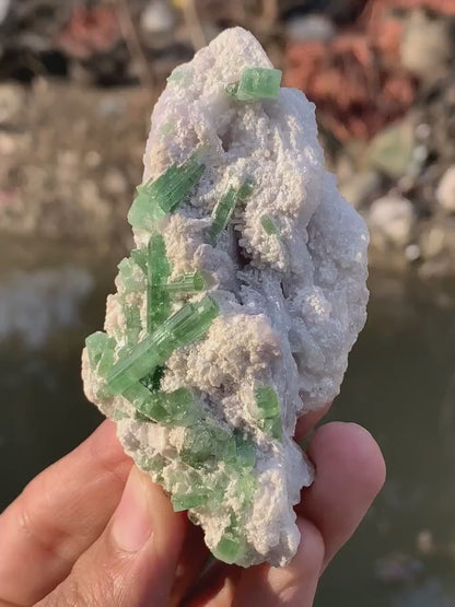 Blusih Green Tourmaline Crystals on Lepidolite from Afghanistan - 70 Gram