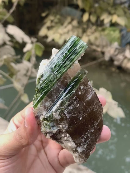 Green Tourmaline Crystals on Quartz from Afghanistan - 239 Gram