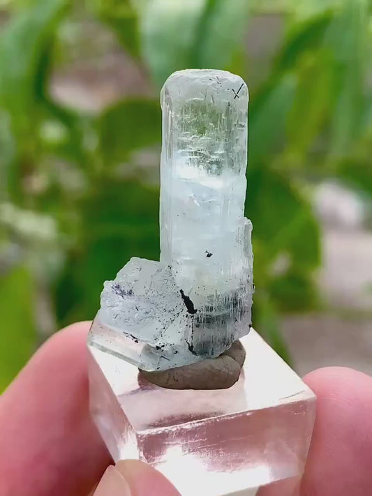 Diamond Cut Blue Aquamarine Crystal with Red Garnet from Pakistan - 27.50 Carats