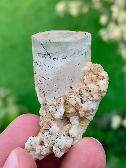 Bicolor Aquamorganite Crystal with Tourmalines and Feldspar from Pakistan - 20 Gram