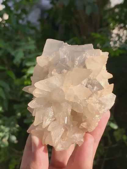 Cubic Purple Fluorite with Dog Tooth Calcite from Pakistan - 318 Gram