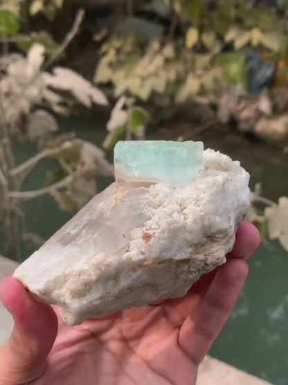 Bicolor Aquamorganite Crystal on QUartz from Pakistan - 366 Gram