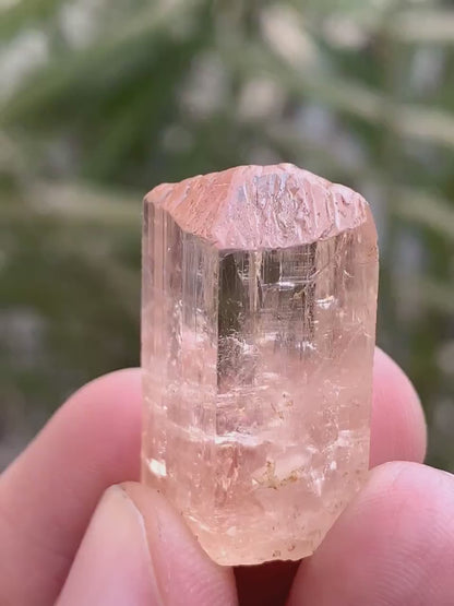NAtural Imperial Katlang Topaz Crysstal from Pakistan - 53.00 Carats
