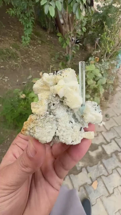 Transparent Blue Aquamarine with Schorl Tourmalines Combined from Pakistan