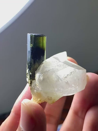 Natural terminated Green Cap Tourmaline Crystal on Quartz from Pakistan - 31 Gram