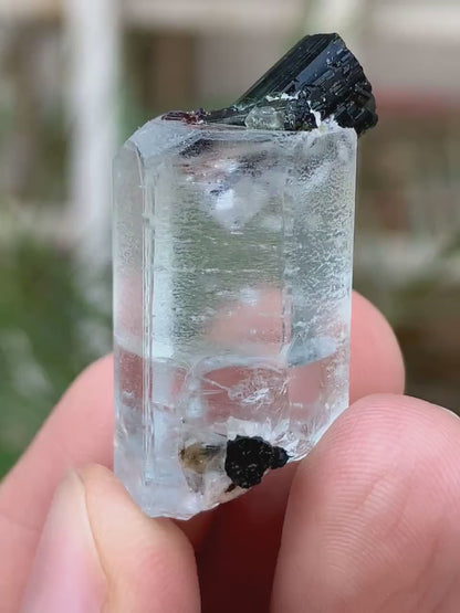 Transparent Blue Aquamarine with Black Tourmaline Combined Specimen from Pakistan - 55.00 Carats