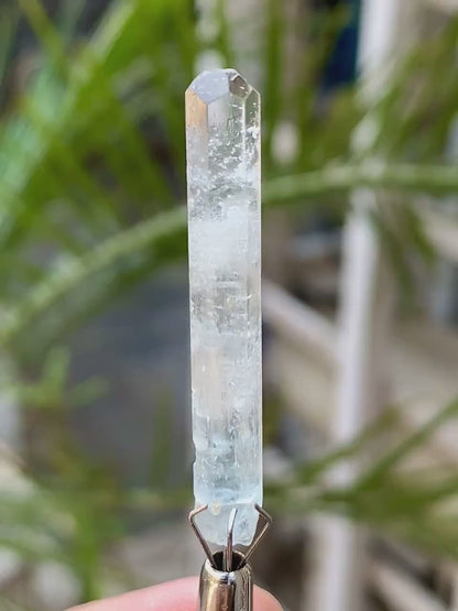 Gemmy Blue Aquamarine for Collectors from Pakistan - 11.50 Carats