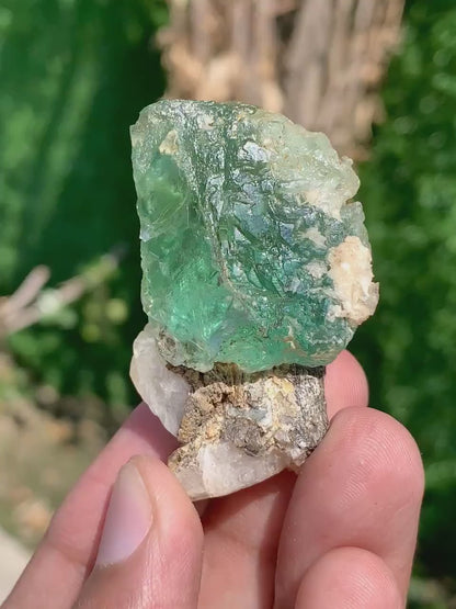 Green Fluorite Crystal from Pakistan - Gram