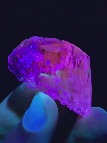 Fluorescent Yellow Triphane Kunzite Crystal from Afghanistan - 12 Gram
