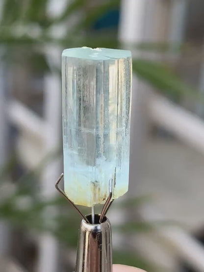 Gemmy Blue Aquamarine Crystal from Pakistan - 14.00 Carats