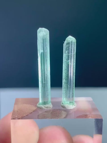 Green Tourmaline Crystals from Afghanistan - 8.50 Carats